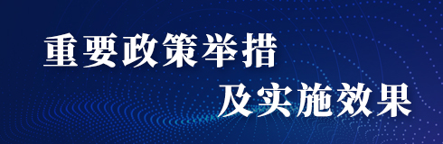 重要政策舉措及實施效果